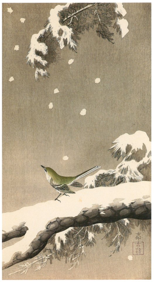 Ohara Koson – Japanese Bush Warbler on Snowy Pine [from Hanga Geijutsu No.180]