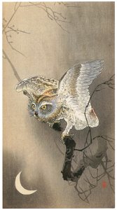 Ohara Koson – Horned Owl with Moon [from Hanga Geijutsu No.180]. Free illustration for personal and commercial use.