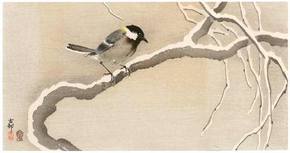 Ohara Koson – Japanese Tit in Snow [from Hanga Geijutsu No.180]. Free illustration for personal and commercial use.