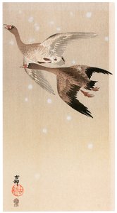 Ohara Koson – Greater White-fronted Goose Flying in the Snow [from Hanga Geijutsu No.180]