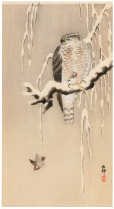 Ohara Koson – Goshawk and Sparrows [from Hanga Geijutsu No.180]. Free illustration for personal and commercial use.