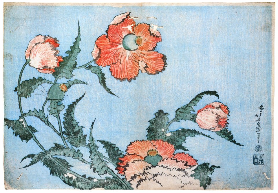 Katsushika Hokusai – Birds and Flowers: Poppies [from Meihin Soroimono Ukiyo-e]