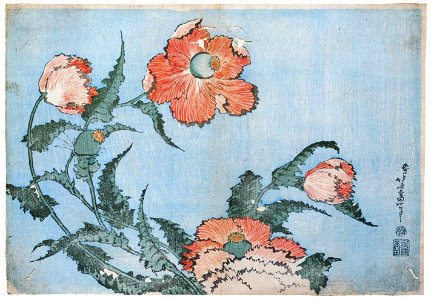 Katsushika Hokusai – Birds and Flowers: Poppies [from Meihin Soroimono Ukiyo-e]. Free illustration for personal and commercial use.