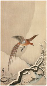 Ohara Koson – Copper Pheasant in Snow [from Hanga Geijutsu No.180]. Free illustration for personal and commercial use.