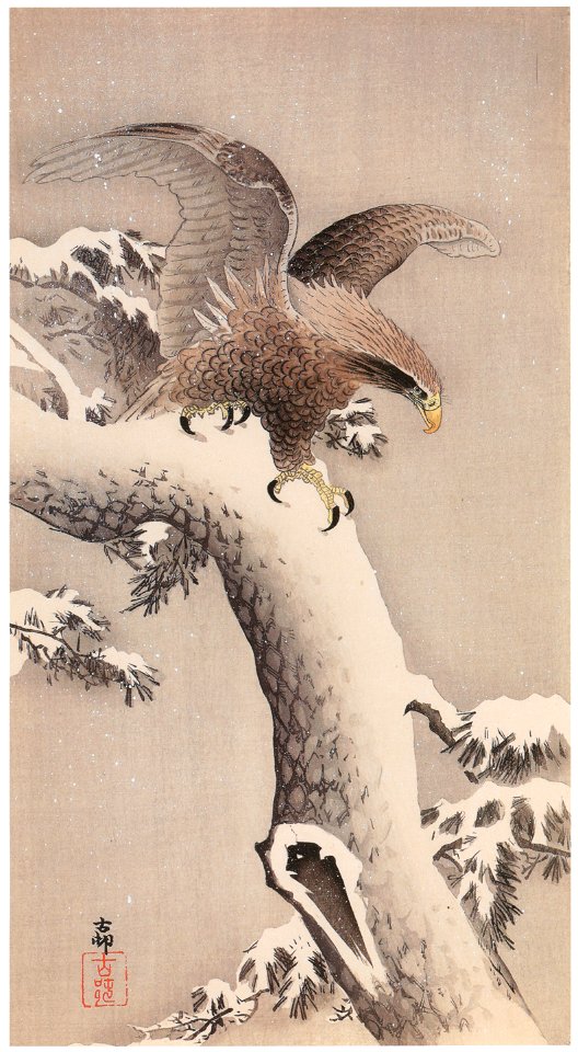 Ohara Koson – White-tailed Eagle on Snowy Pine [from Hanga Geijutsu No.180]
