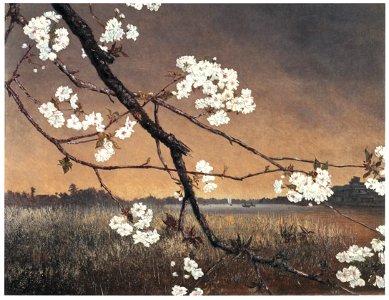 Takahashi Yuichi – Cherry Blossoms by the Sumida River [from Takahashi Yuichi: Pioneer of Modern Western-style Painting]. Free illustration for personal and commercial use.