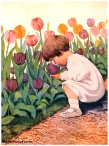 Jessie Willcox Smith – Tulip Time (A Very Little Child’s Book of Stories by Ada M. and Eleanor L. Skinner) [from Jessie Willcox Smith: American Illustrator]. Free illustration for personal and commercial use.