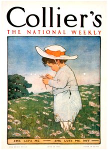 Jessie Willcox Smith – She Lufs Me—She Lufs Me Not. (Collier’s June 29, 1907) [from Jessie Willcox Smith: American Illustrator]. Free illustration for personal and commercial use.