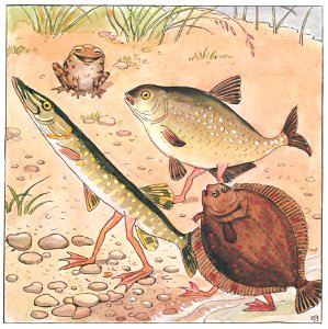 Elsa Beskow – Plate 8 [from The Curious Fish]. Free illustration for personal and commercial use.