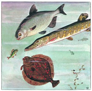 Elsa Beskow – Plate 2 [from The Curious Fish]