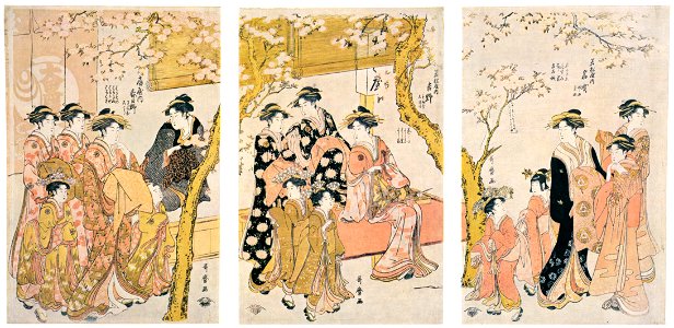 Kitagawa Utamaro – Courtesans under Cherry Trees in Front of the Daikokuya [from Ukiyo-e shuka. Museum of Fine Arts, Boston III]. Free illustration for personal and commercial use.