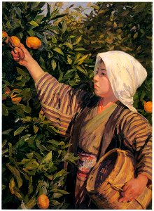 Wada Eisaku – A Girl Picking Oranges [from Retrospective Exhibition of Wada Eisaku]. Free illustration for personal and commercial use.