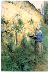 Carl Larsson – The Old Wall, Grez-sur-Loing [from The Painter of Swedish Life: Carl Larsson]. Free illustration for personal and commercial use.