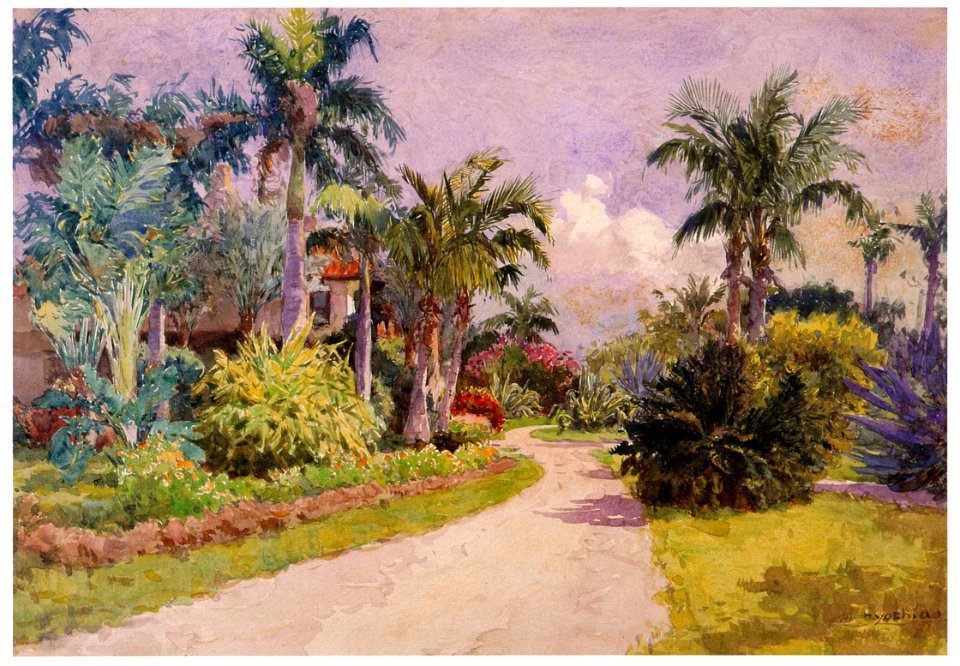 Yoshida Hiroshi – Tropical Plants in Florida [from Fukuoka Art Museum]