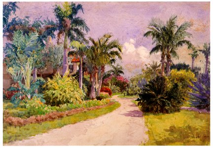Yoshida Hiroshi – Tropical Plants in Florida [from Fukuoka Art Museum]. Free illustration for personal and commercial use.