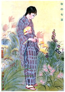 Sudō Shigeru – Seven Autumn Flowers [from Sudō Shigeru Lyric Art Book]