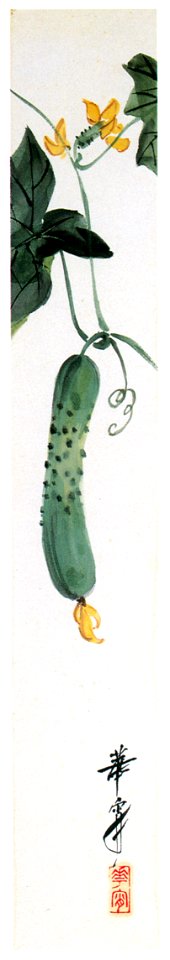 Takabatake Kashō – Cucumber Flower [from Catalogue of Takabatake Kashō Taisho Roman Museum]. Free illustration for personal and commercial use.