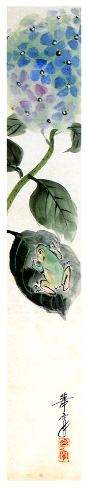 Takabatake Kashō – Hydrangea and Frog [from Catalogue of Takabatake Kashō Taisho Roman Museum]. Free illustration for personal and commercial use.