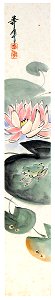 Takabatake Kashō – Water Lily [from Catalogue of Takabatake Kashō Taisho Roman Museum]. Free illustration for personal and commercial use.