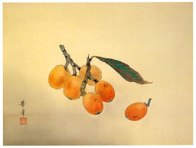 Takabatake Kashō – Loquat [from Catalogue of Takabatake Kashō Taisho Roman Museum]. Free illustration for personal and commercial use.