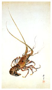 Takabatake Kashō – Shrimp [from Catalogue of Takabatake Kashō Taisho Roman Museum]. Free illustration for personal and commercial use.