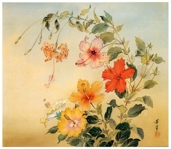 Takabatake Kashō – Hibiscus [from Catalogue of Takabatake Kashō Taisho Roman Museum]. Free illustration for personal and commercial use.