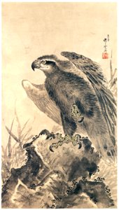 Kawanabe Kyōsai – Eagle on a Rock [from Kyosai: master painter and his student Josiah Coder]. Free illustration for personal and commercial use.