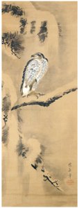 Josiah Conder – Hawk in Snow [from Kyosai: master painter and his student Josiah Coder]. Free illustration for personal and commercial use.