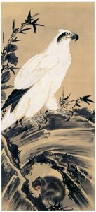 Kawanabe Kyōsai – White Eagle and Monkey [from Kyosai: master painter and his student Josiah Coder]. Free illustration for personal and commercial use.