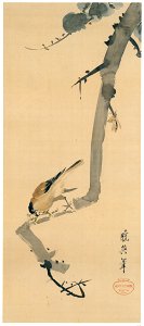Josiah Conder – Shrike [from Kyosai: master painter and his student Josiah Coder]. Free illustration for personal and commercial use.