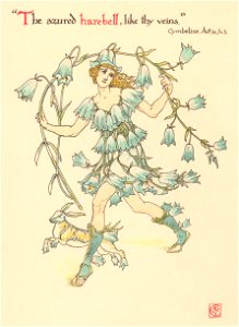 Walter Crane – The azured harebell, like thy veins. (Cymbeline) [from Flowers from Shakespeare’s Garden]. Free illustration for personal and commercial use.