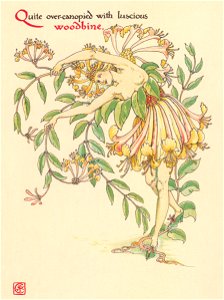 Walter Crane – Quite over-canopied with luscious woodbine, (A Midsummer Night’s Dream) [from Flowers from Shakespeare’s Garden]