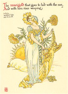 Walter Crane – The marigold, that goes to bed wi’ the sun, And with him rises weeping; (The Winter’s Tale) [from Flowers from Shakespeare’s Garden]. Free illustration for personal and commercial use.