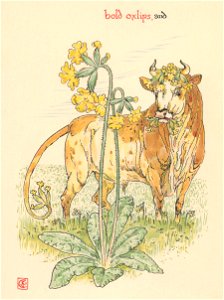 Walter Crane – bold oxlips, and (The Winter’s Tale) [from Flowers from Shakespeare’s Garden]. Free illustration for personal and commercial use.