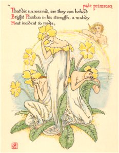 Walter Crane – pale primroses, That die unmarried, ere they can behold Bight Phoebus in his strength–a malady Most incident to maids; (The Winter’s Tale) [from Flowers from Shakespeare’s Garden]. Free illustration for personal and commercial use.