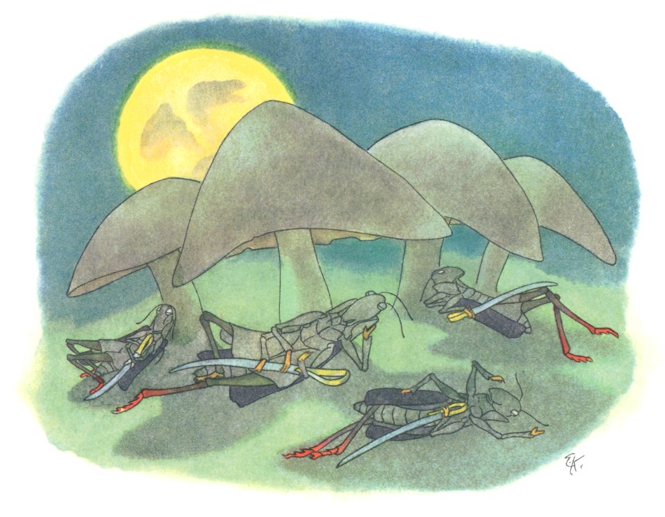 Ernst Kreidolf – Night Watch [from Grasshopper]