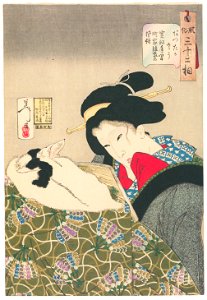 Tsukioka Yoshitoshi – Looks Cozy’, Mannerisms of a Merchant’s Widow from the Kansei Period [from Thirty-two Aspects of Women]. Free illustration for personal and commercial use.
