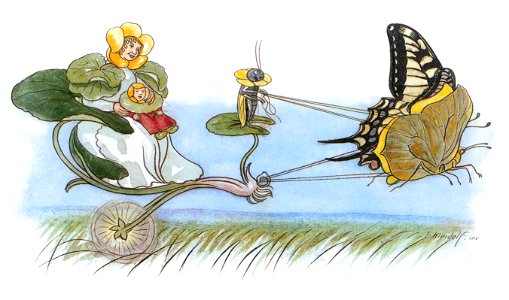 Ernst Kreidolf – Buttercup’s Excursion [from Flower Fairy Tale]. Free illustration for personal and commercial use.