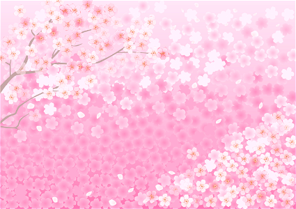Cherry blossoms background. Free illustration for personal and commercial use.