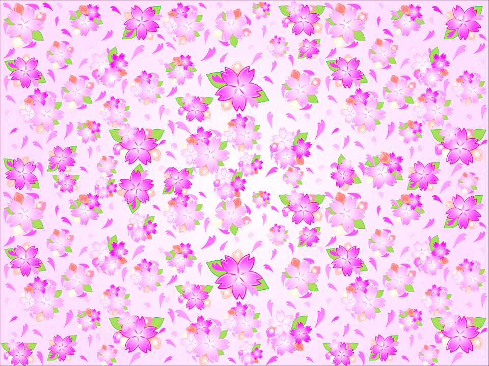 Cherry blossoms background. Free illustration for personal and commercial use.