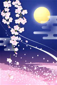 Cherry blossoms night. Free illustration for personal and commercial use.