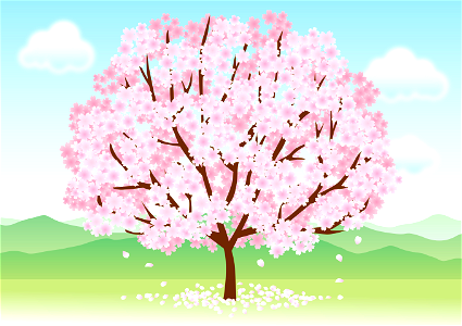 Cherry blossoms tree. Free illustration for personal and commercial use.