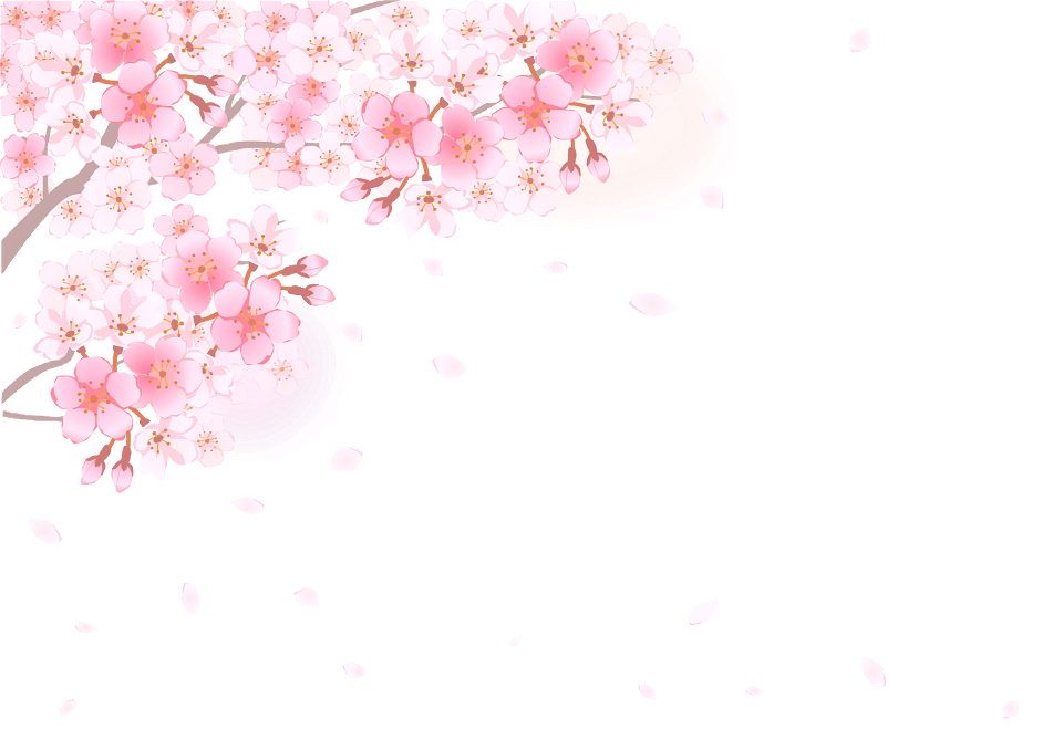 Cherry blossoms. Free illustration for personal and commercial use.