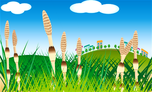 Field horsetail hill. Free illustration for personal and commercial use.