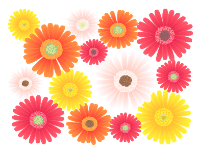 Gerbera flower. Free illustration for personal and commercial use.
