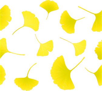 Ginkgo leaf. Free illustration for personal and commercial use.