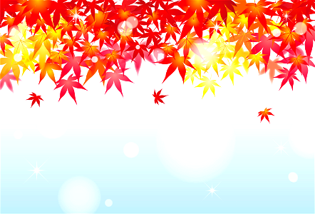 Maple leaves autumn. Free illustration for personal and commercial use.