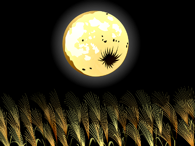 Moon susuki grass. Free illustration for personal and commercial use.