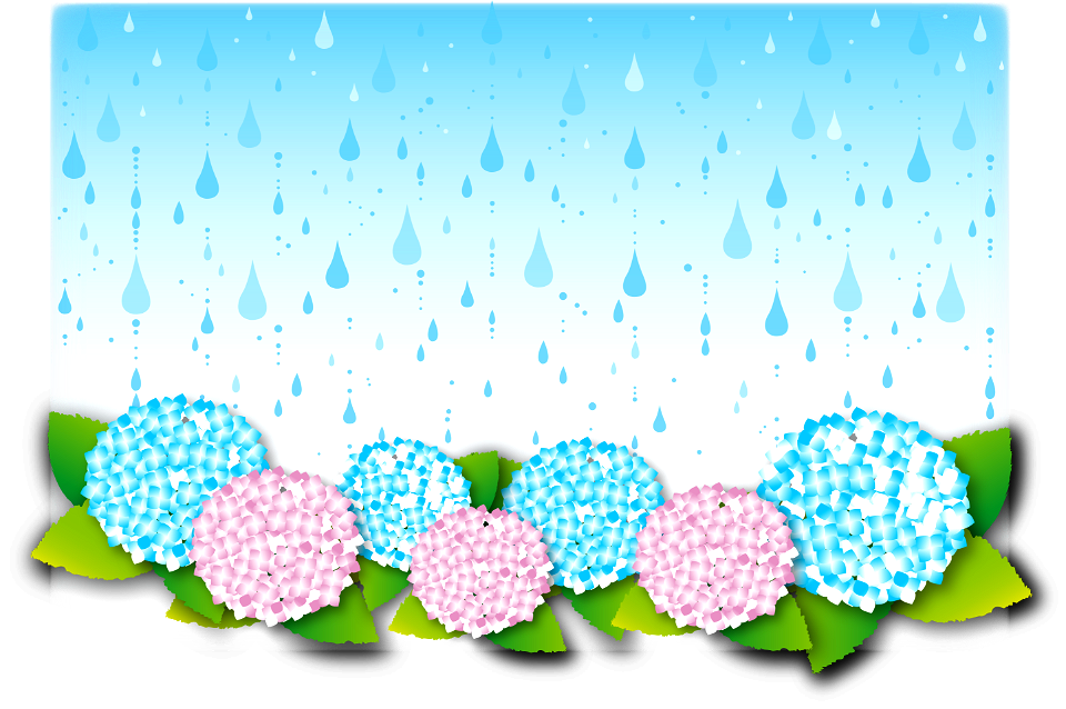 Rain hydrangea. Free illustration for personal and commercial use.