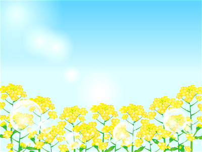 Rape blossoms. Free illustration for personal and commercial use.